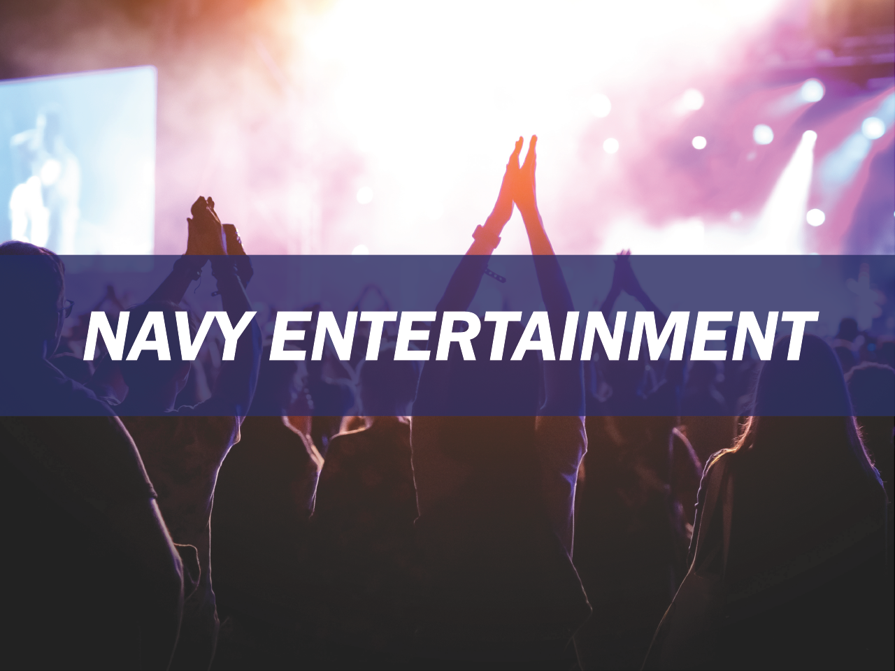 Navy Entertainment Survey