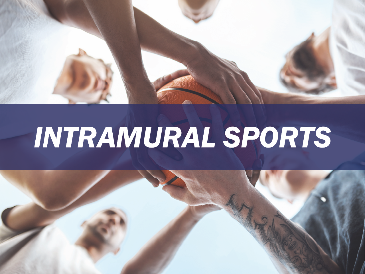 Intramural Sports Survey